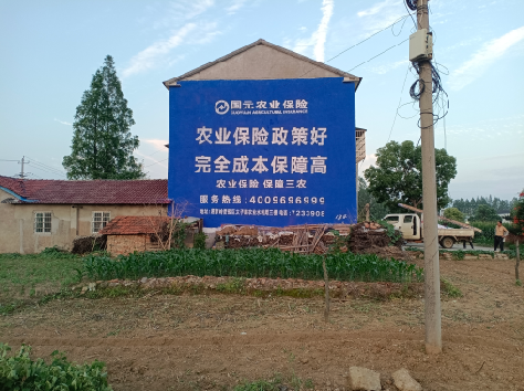 建水墙体广告为何受追捧?